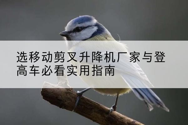 会理电动升降机厂家-选移动剪叉升降机厂家与登高车必看实用指南