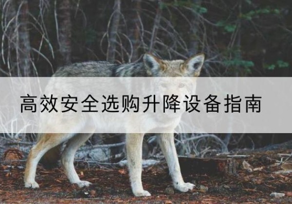 会理升降货梯厂家推荐-*安全选购升降设备指南